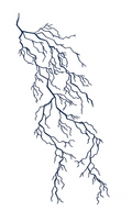 Line drawing of a leaf on a white background