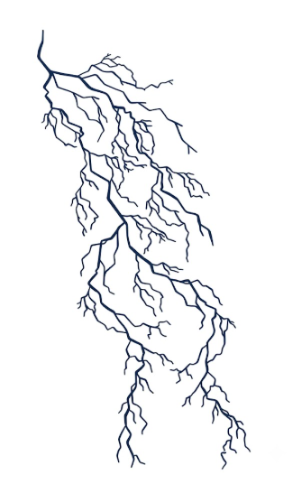 Line drawing of a leaf on a white background
