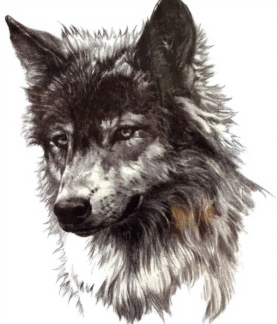 Realistic Wolf Portrait Classic