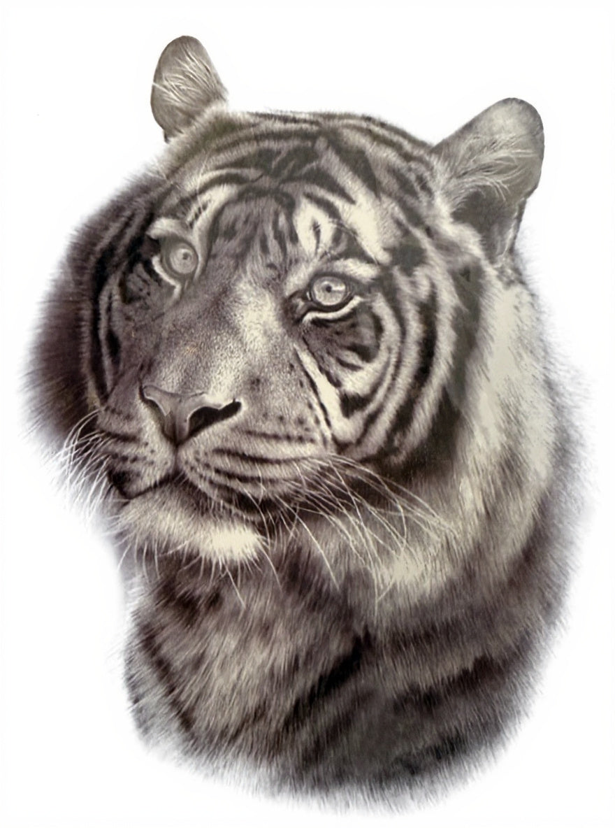 Realistic Tiger Portrait Sepia