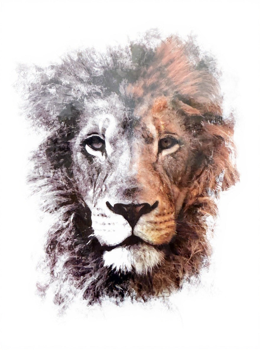 Lion Two Tone Realistic Portrait