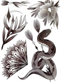 Snake and Botanical Art Set
