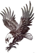 Diving Eagle Talons Bold
