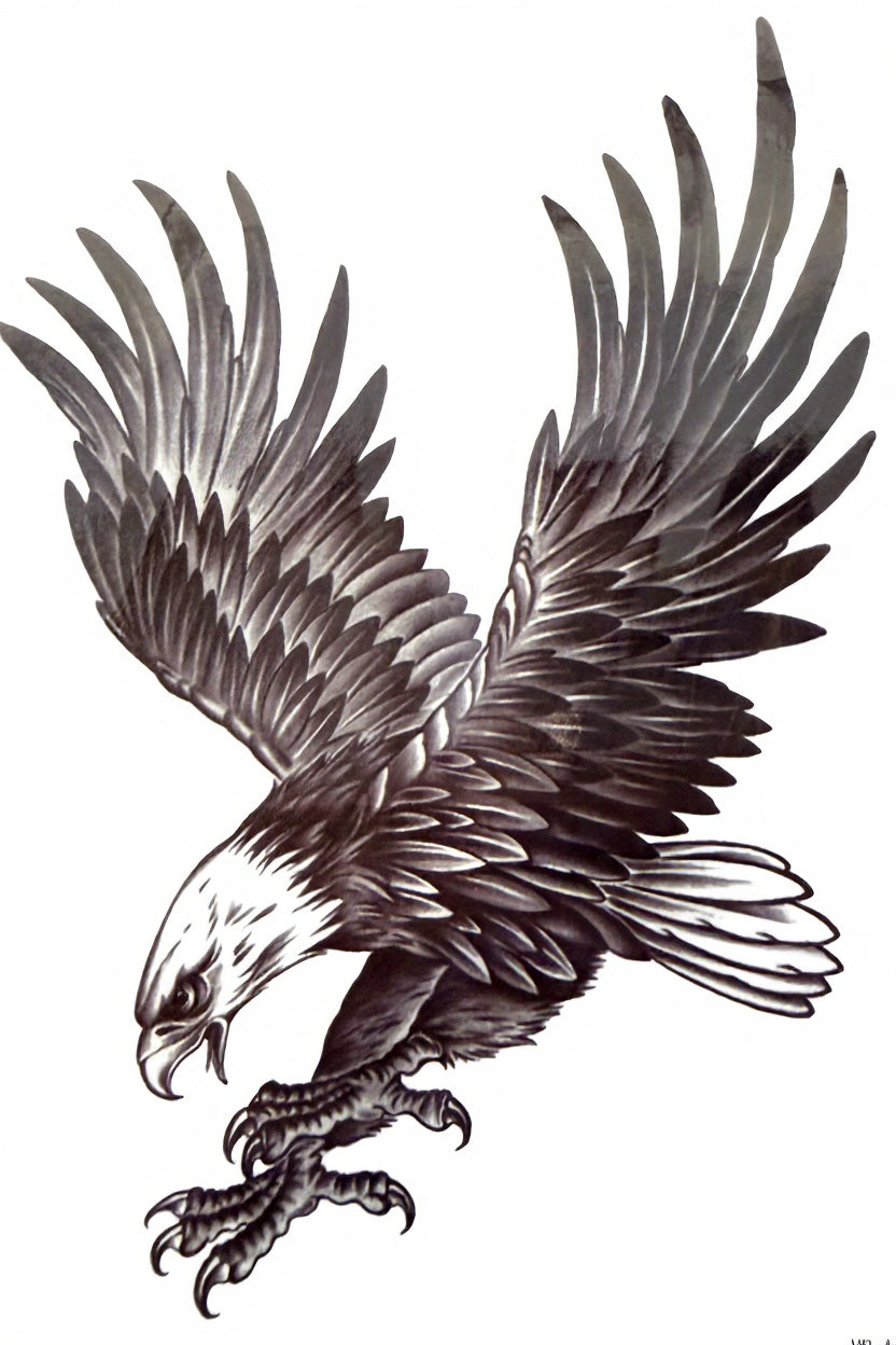 Diving Eagle Talons Bold