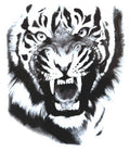 Roaring Tiger Bold