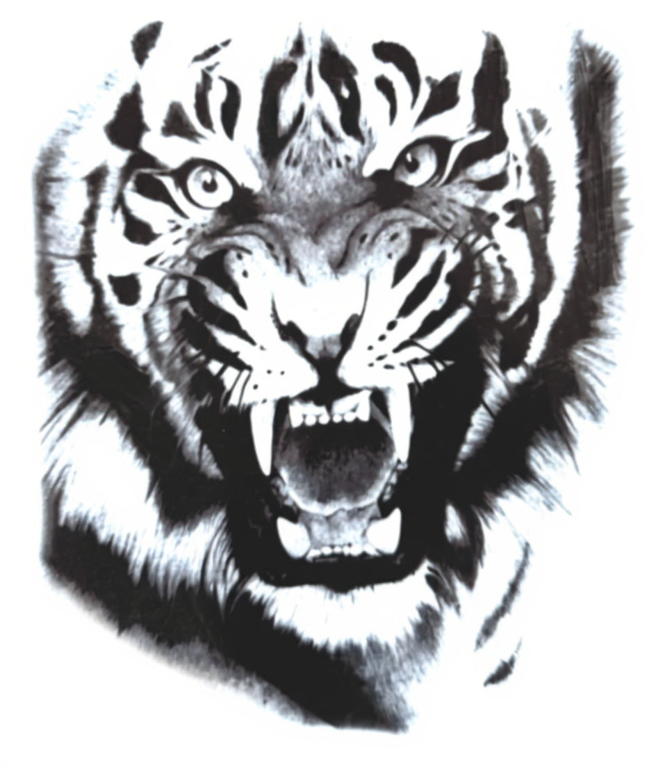 Roaring Tiger Bold