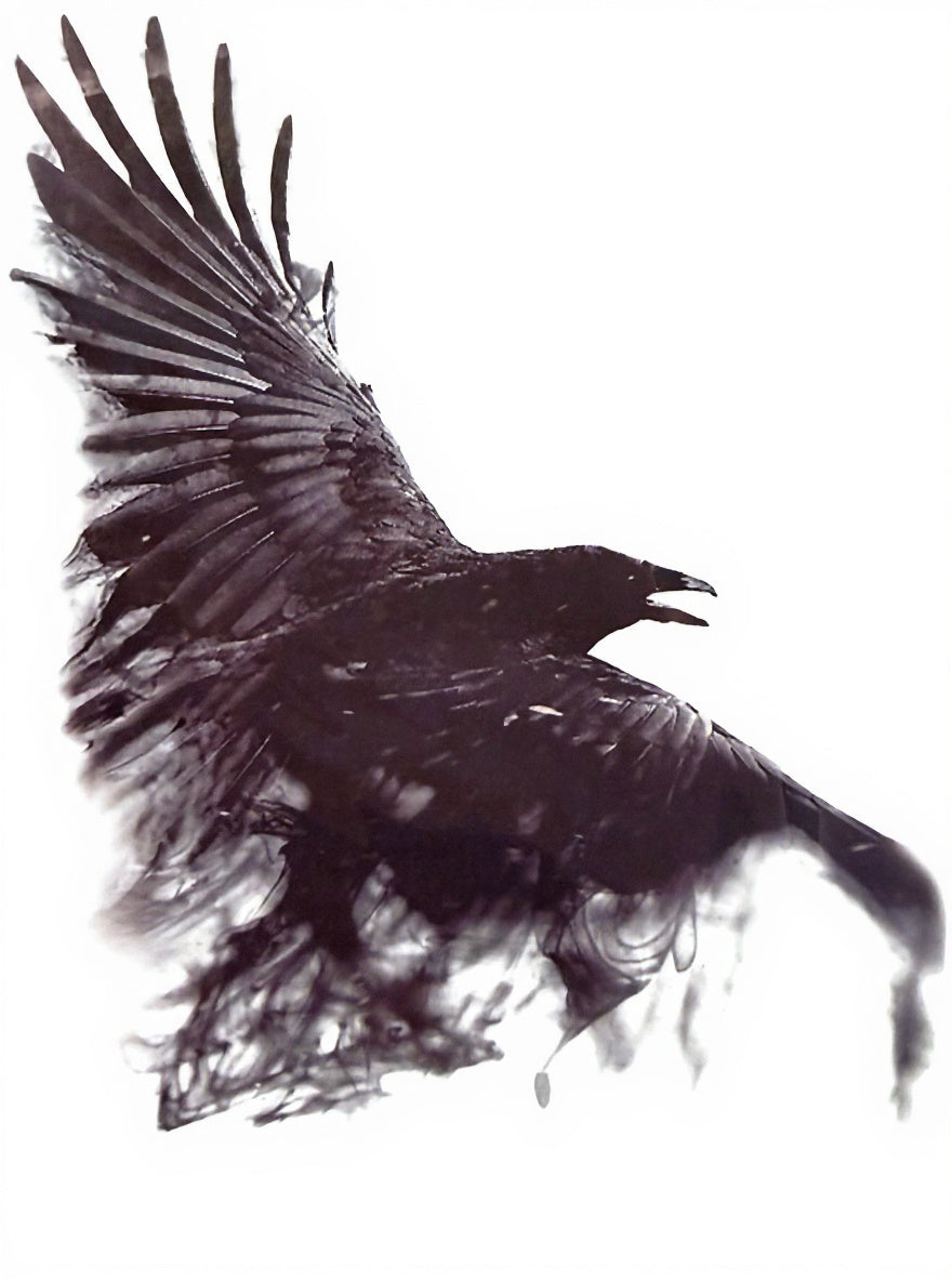 Raven in Flight Dark