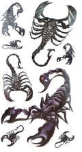 Zodiac Signs Full Set