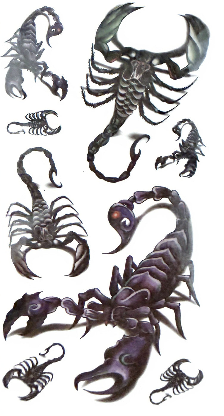Zodiac Signs Full Set