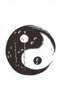 Yin Yang Water Drop
