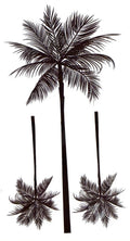 Tropical Palm Trees