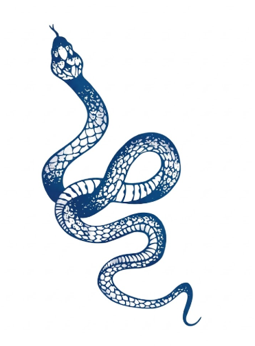 Coiling Snake Tattoo